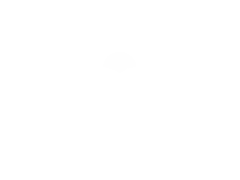 Logo LifePlanet